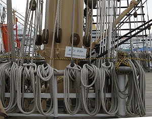 c0041039_9595517.jpg