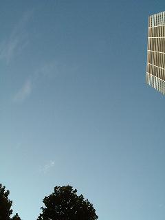 f0158841_2051684.jpg