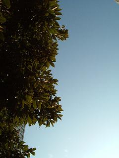 f0158841_2053046.jpg