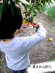 c0029744_7491869.jpg