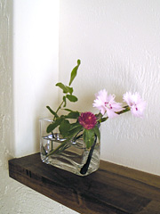 c0029744_7564454.jpg