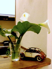 c0029744_757158.jpg
