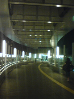 c0024558_2246374.jpg