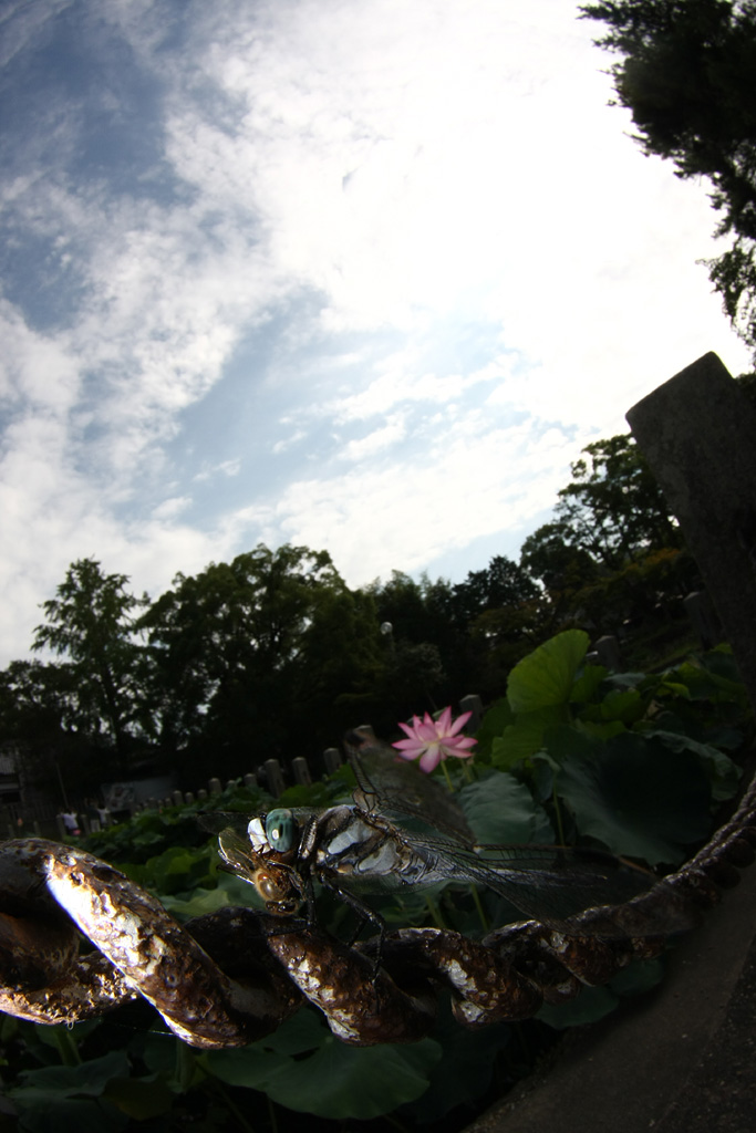d0148060_1917349.jpg
