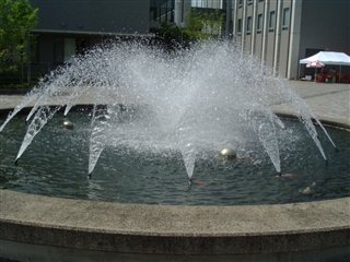 f0022660_154911.jpg