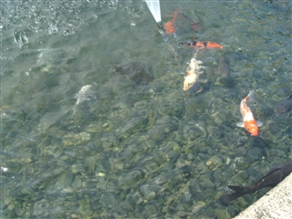 f0022660_16395.jpg