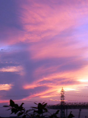 f0086169_20584746.jpg