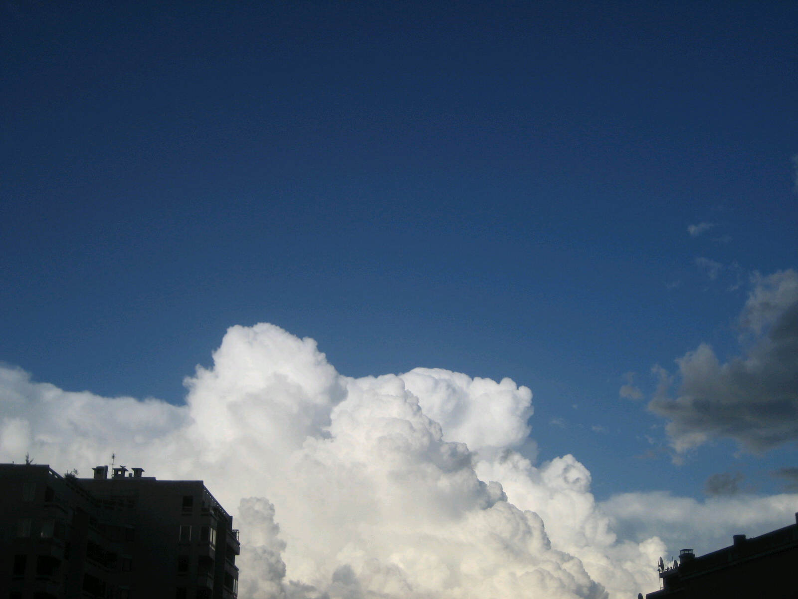 a0104474_311283.jpg