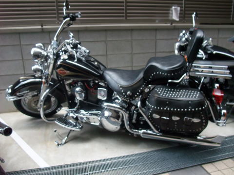 f0004182_2053139.jpg