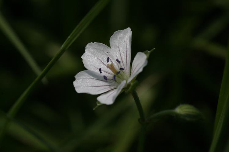 d0082288_21444114.jpg
