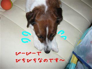 e0121589_20322539.jpg