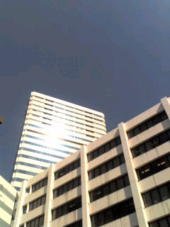 f0149594_1639569.jpg