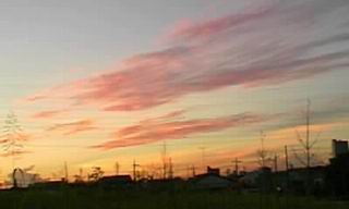 c0062796_0155968.jpg