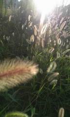 c0062796_0165548.jpg