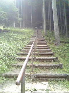 e0025497_1374342.jpg