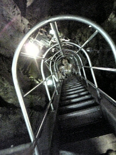 e0025497_156720.jpg