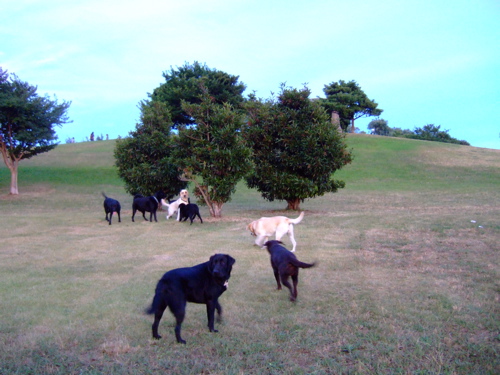 f0001698_115825.jpg