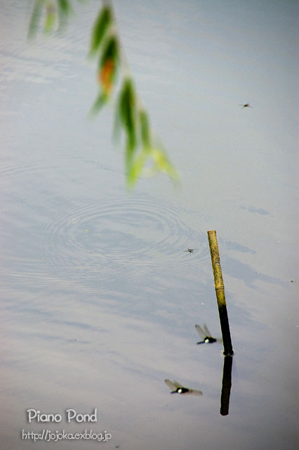 e0008800_14193090.jpg