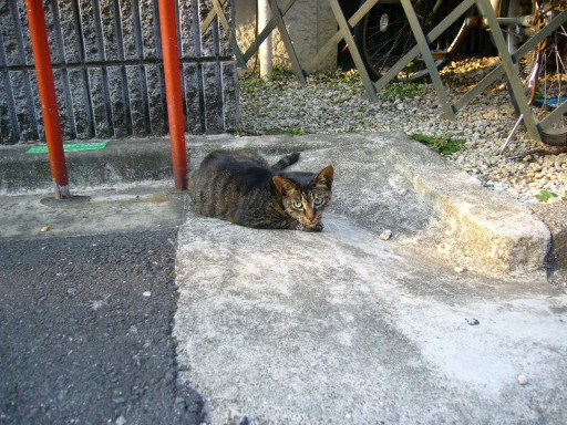 d0070702_16211710.jpg