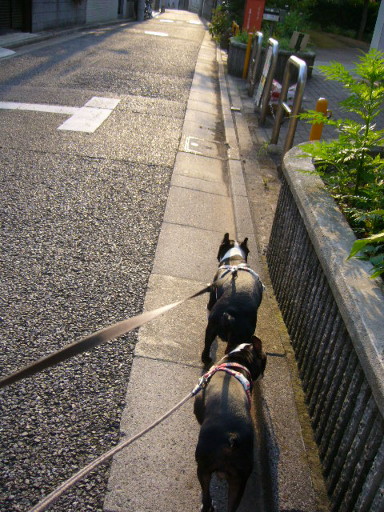 d0070702_16265483.jpg