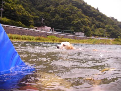 f0109202_14311118.jpg