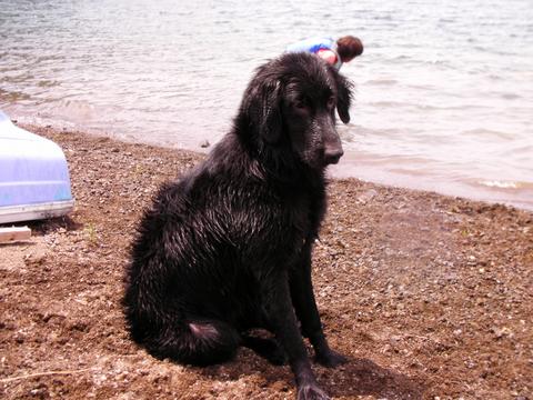 f0109202_14322411.jpg