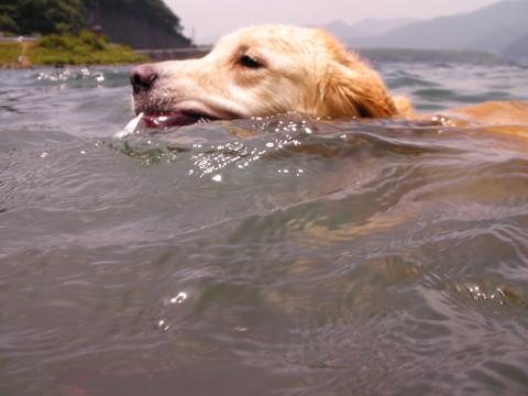 f0109202_14333687.jpg