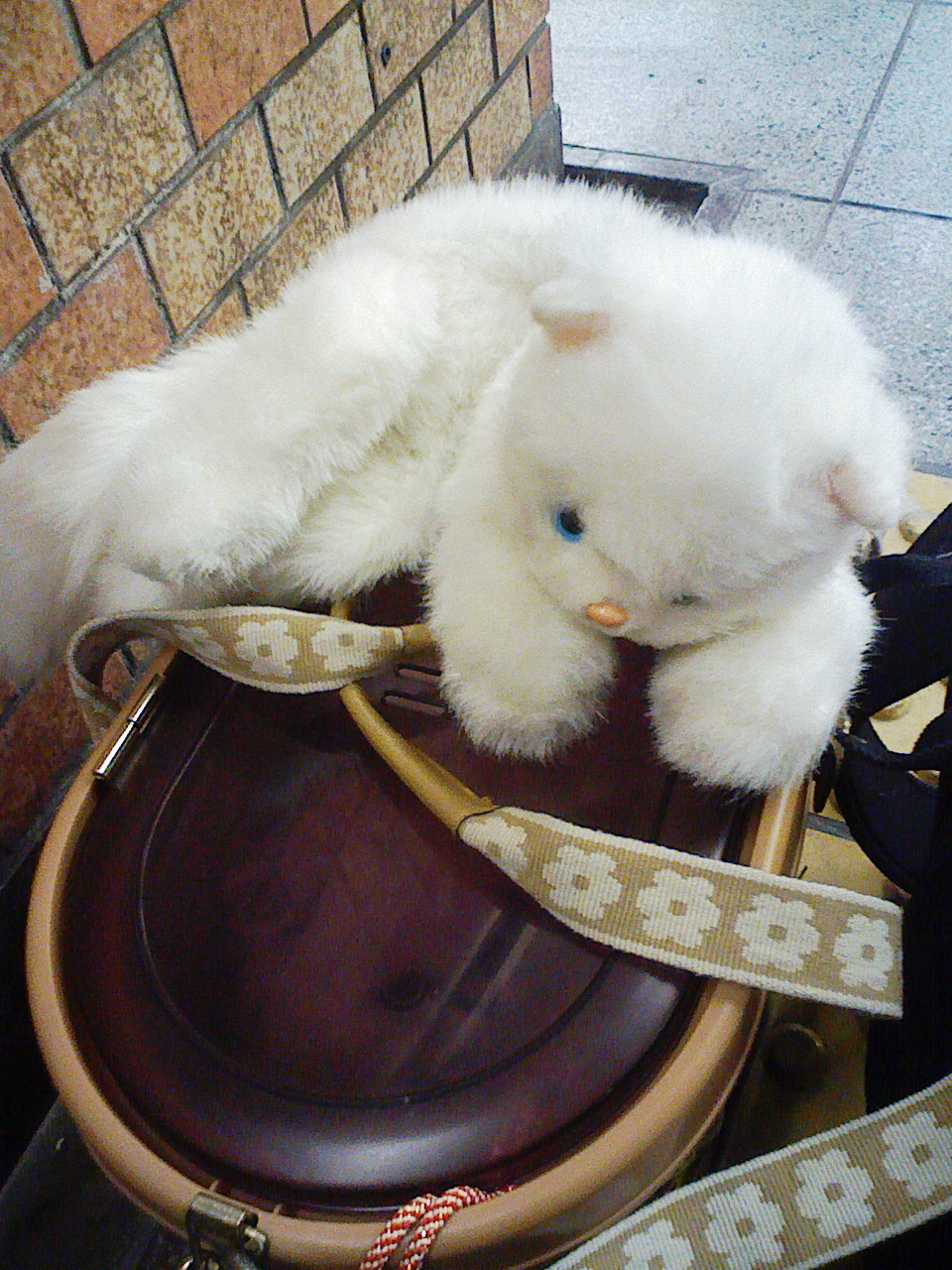a0032004_311567.jpg