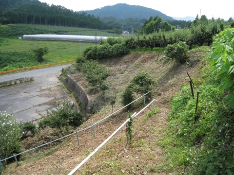 d0116205_8331342.jpg