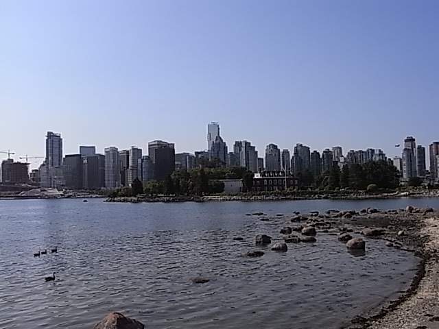 f0010106_20262169.jpg