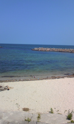 b0150911_7105153.jpg
