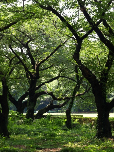 e0083212_1610144.jpg
