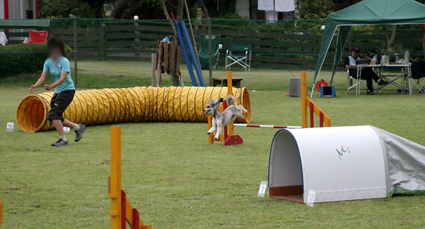 f0108112_20592725.jpg