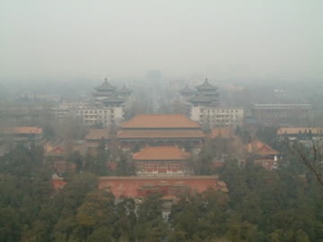 d0111714_20213145.jpg