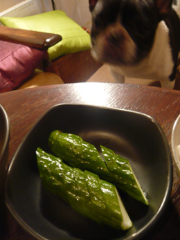 c0144016_1444994.jpg