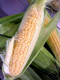 f0036716_22501917.jpg
