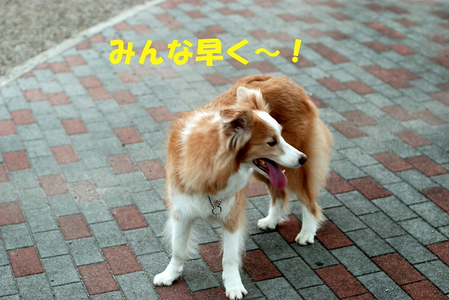 c0116921_22311761.jpg