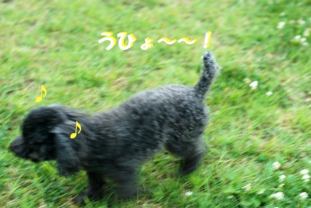 c0116921_22375738.jpg