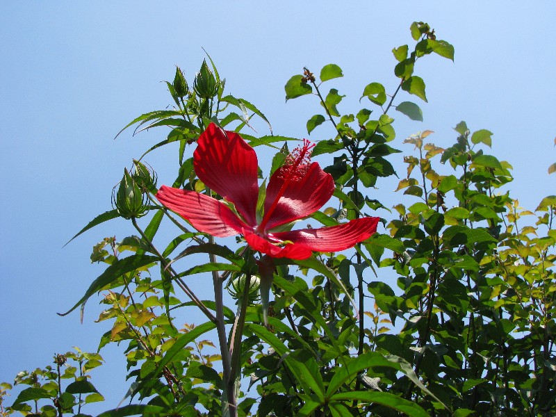 a0004023_20291012.jpg