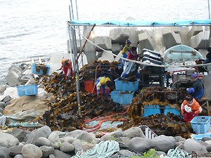d0023725_8471745.jpg