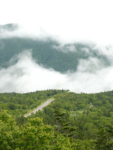 d0023725_9125659.jpg