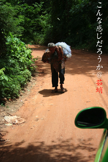 d0042827_2033464.jpg