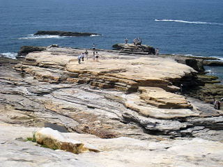 c0159828_23143048.jpg