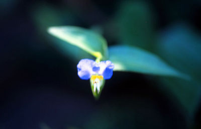 a0046429_12217.jpg