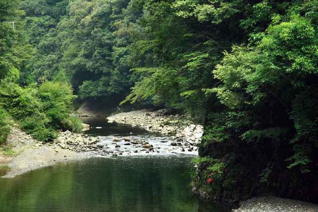 d0147530_522959.jpg