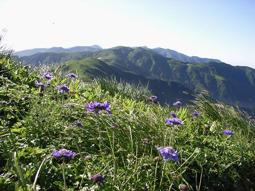 f0118332_2010448.jpg