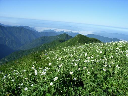 f0118332_20111089.jpg