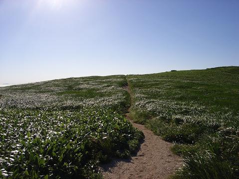 f0118332_2015684.jpg