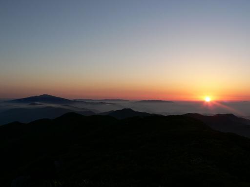 f0118332_2035972.jpg