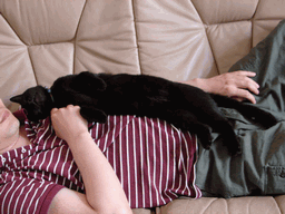 c0136736_2083450.gif